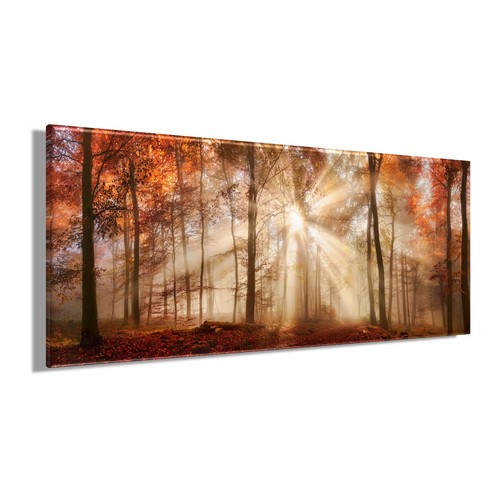 Wandbild herbstwald xxl 60x140 - wandbild,